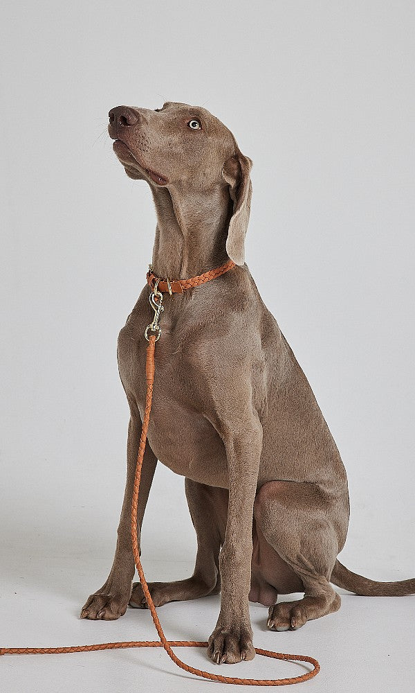 COLLAR- Leather Plaited