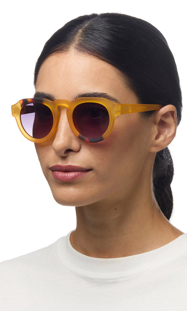 ZENO- 2 Tone Snglasses