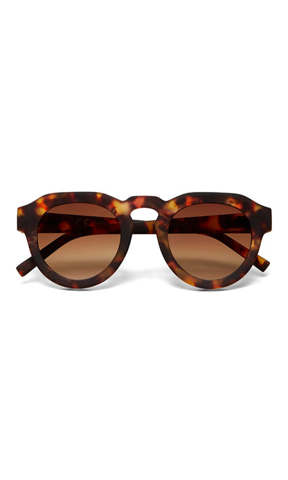 ZENO- 2 Tone Snglasses