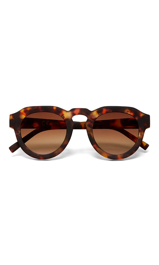 ZENO- 2 Tone Snglasses