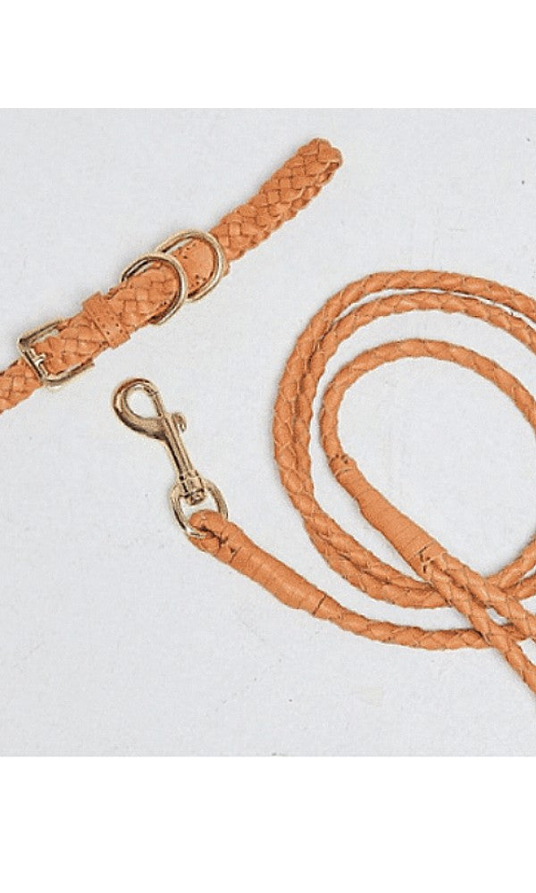 COLLAR- Leather Plaited